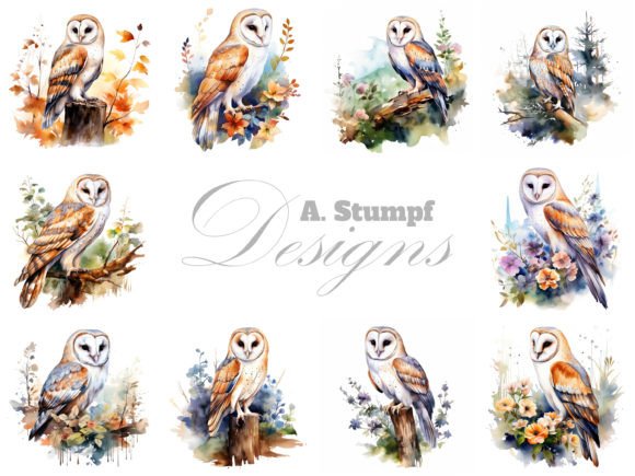 Download Barn Owl Clipart Watercolor Bird Images - Art Collection