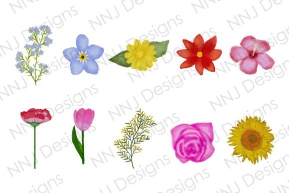 Download Watercolor Flower Bundle Clipart - Art Collection