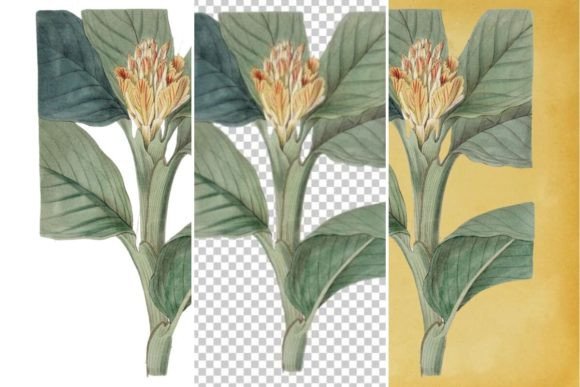 Download Vintage Flower Wall Art Printable - Art Collection