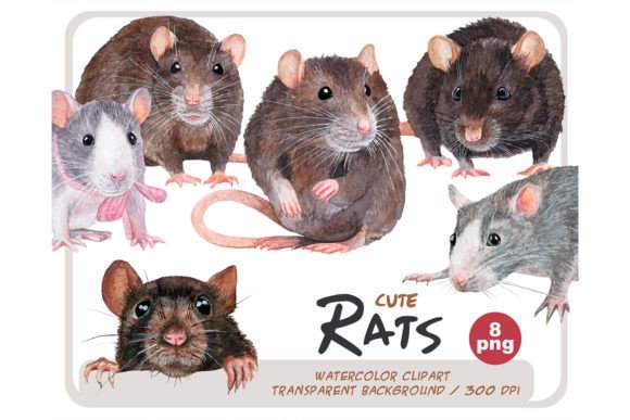 Download Watercolor Realistic Rats Clipart Set - Art Collection