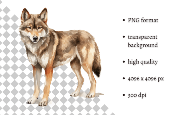 Download Watercolor Woodland Wolf PNG Clipart - Art Collection