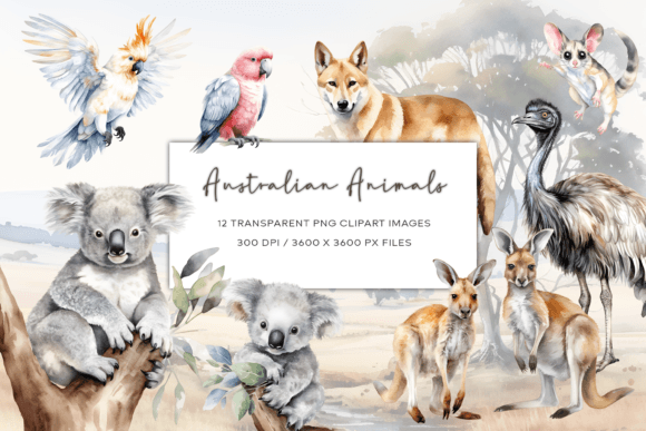 Download Australian Watercolor Animals Clipart - Art Collection