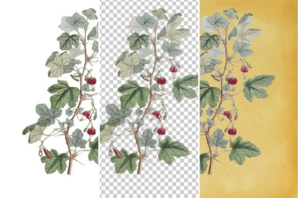 Download Vintage Flower Wall Art Printable - Art Collection