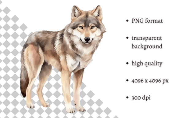 Download Watercolor Woodland Wolf PNG Clipart - Art Collection